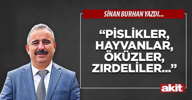 “Pislikler, hayvanlar, öküzler, zırdeliler...”