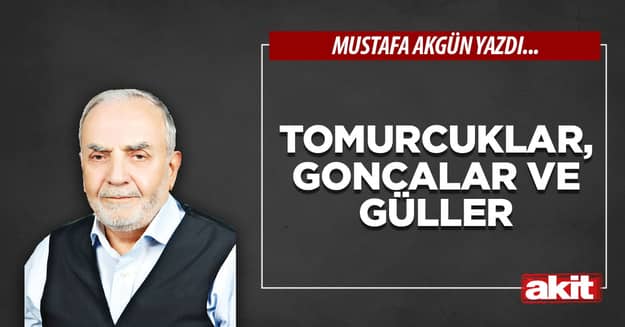 Tomurcuklar, goncalar ve güller