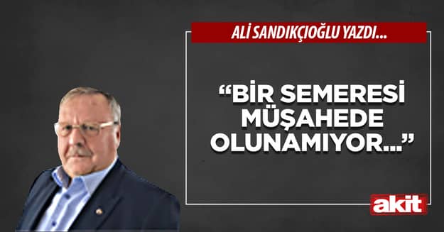 “Bir semeresi müşahede olunamıyor...”