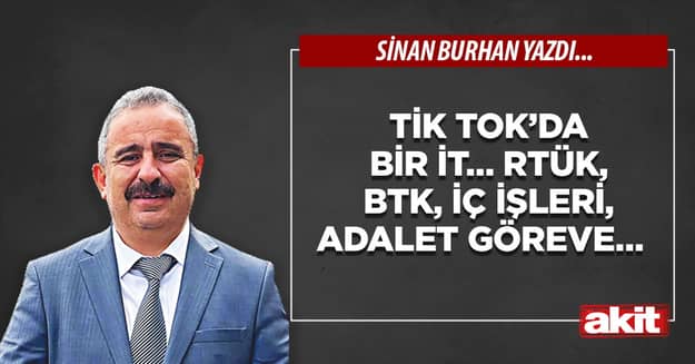 Tik Tok’da bir it… RTÜK, BTK, İç İşleri, Adalet göreve…