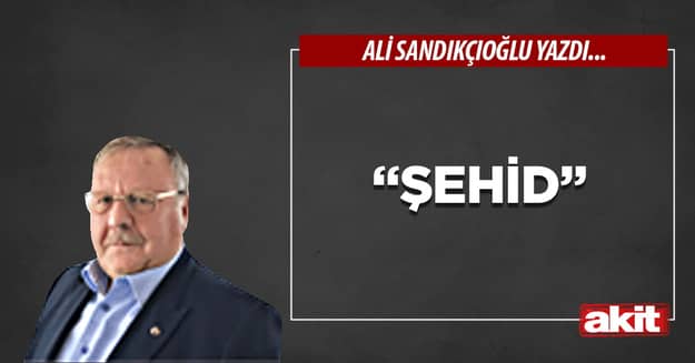 “Şehid”