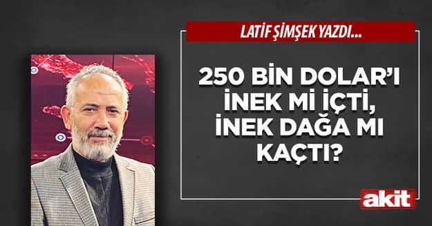 250 bin Dolar’ı inek mi içti, inek dağa mı kaçtı?