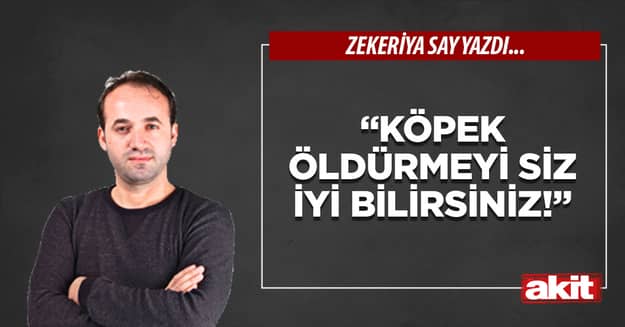 “Köpek öldürmeyi siz iyi bilirsiniz!”