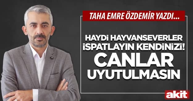 Haydi hayvanseverler ispatlayın kendinizi! Canlar uyutulmasın
