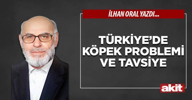 Türkiye’de köpek problemi ve tavsiye