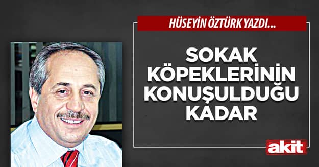Sokak köpeklerinin konuşulduğu kadar...