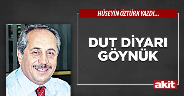 Dut Diyarı Göynük