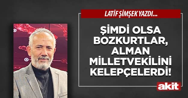 Şimdi olsa Bozkurtlar, Alman milletvekilini kelepçelerdi!