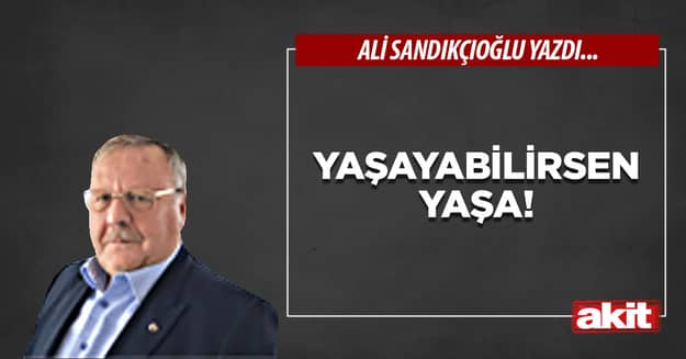 Yaşayabilirsen yaşa!