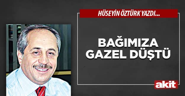 Bağımıza Gazel Düştü