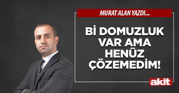 Bi domuzluk var ama henüz çözemedim!