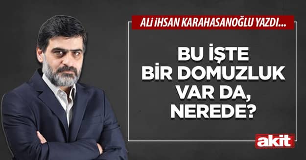 Bu işte bir domuzluk var da, nerede?
