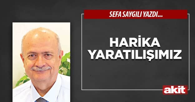 Harika yaratılışımız