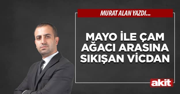 Mayo ile çam ağacı  arasına sıkışan vicdan 