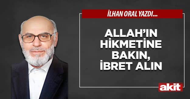 Allah’ın hikmetine bakın, ibret alın