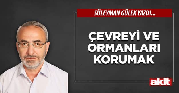 Çevreyi ve ormanları korumak