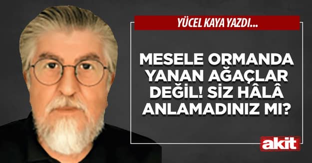 Mesele ormanda yanan ağaçlar değil! Siz hâlâ anlamadınız mı?