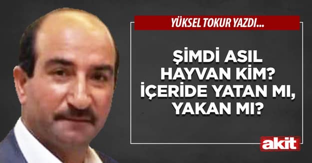 Şimdi asıl hayvan kim? İçeride yatan mı, yakan mı?