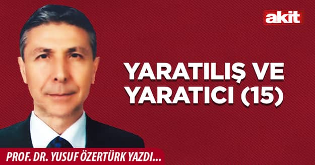 Yaratılış ve Yaratıcı (15)