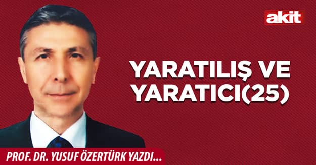 Yaratılış ve Yaratıcı(25)