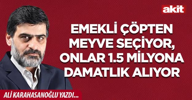 Emekli çöpten meyve seçiyor, onlar 1.5 milyona damatlık alıyor