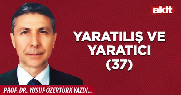 Yaratılış ve Yaratıcı(37)