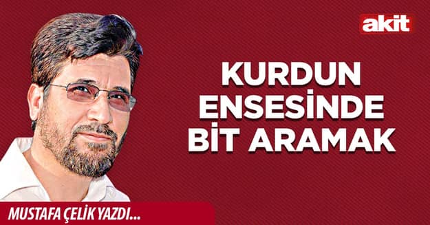 Kurdun ensesinde bit aramak
