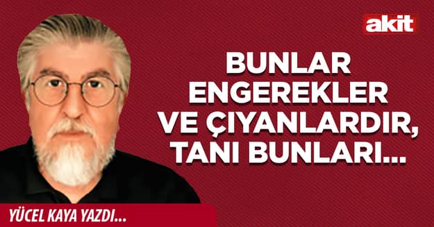 Bunlar engerekler ve çıyanlardır, tanı bunları…