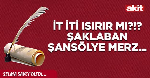 İt iti ısırır mı?!? Şaklaban Şansölye Merz...
