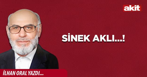 Sinek aklı…!