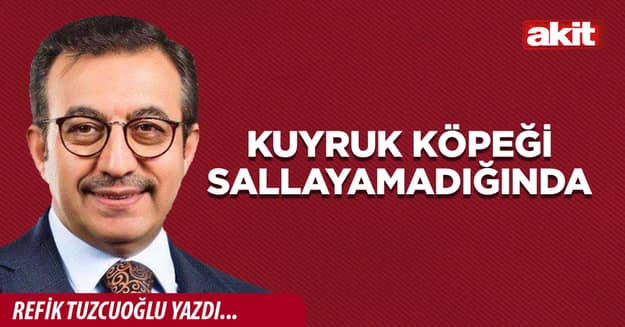 Kuyruk köpeği sallayamadığında
