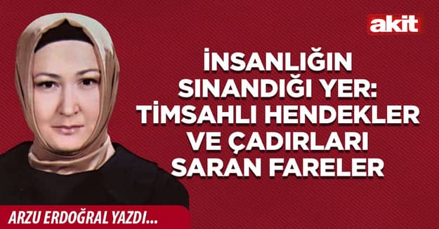 İnsanlığın sınandığı yer: Timsahlı hendekler ve çadırları saran fareler