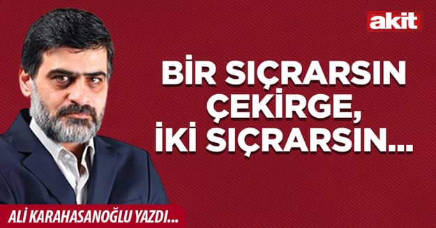 Bir sıçrarsın çekirge, iki sıçrarsın...