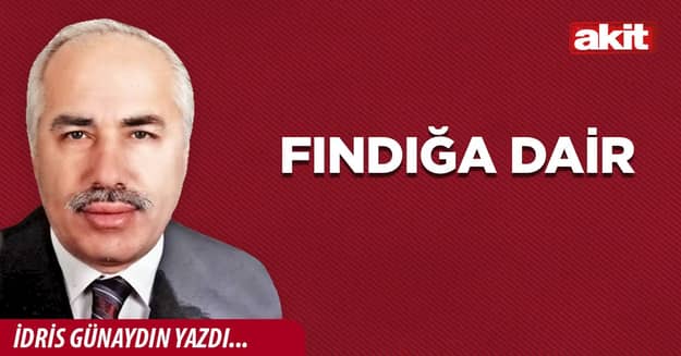 Fındığa dair