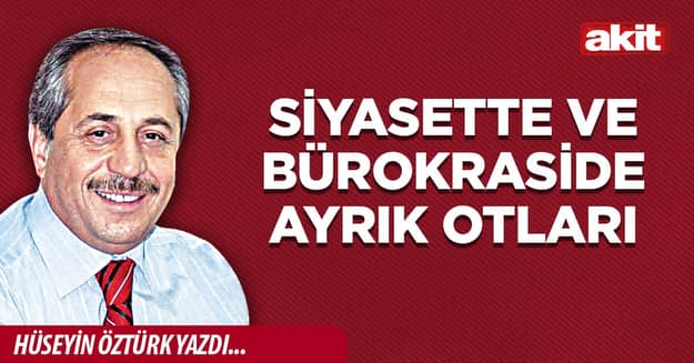 Siyasette ve bürokraside ayrık otları