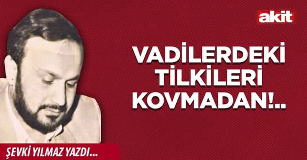 Vadilerdeki tilkileri kovmadan!..