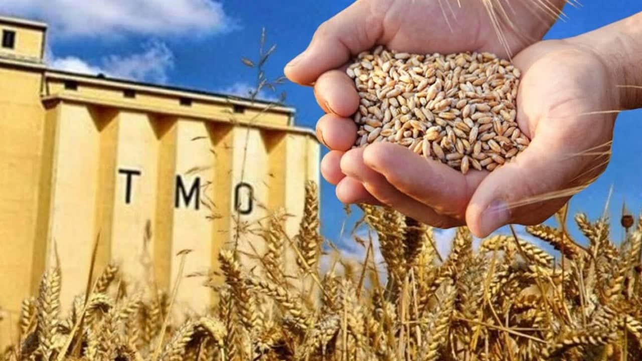 11,5 milyon ton alındı, 120 milyar lira ödendi! Üretici müsterih olsun! TMO sahada