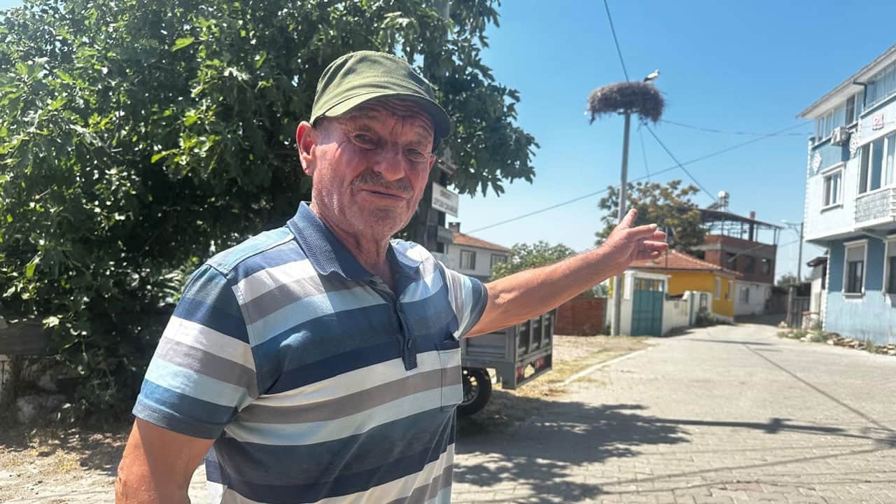 Foto - 15 yıllık dostlukta yine ayrılık vakti! Yaren leylek, Adem amcaya veda etmeye hazırlanıyor