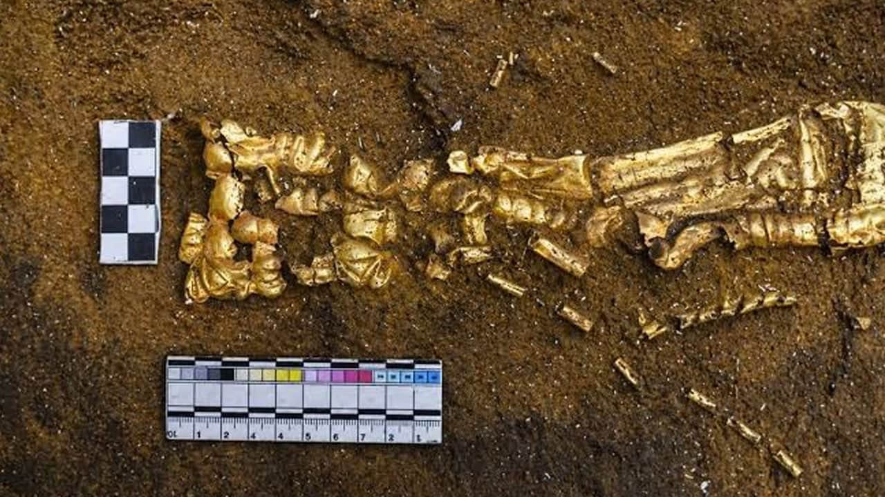 1500 yıllık mezardan altın kadın ayakkabısı çıktı