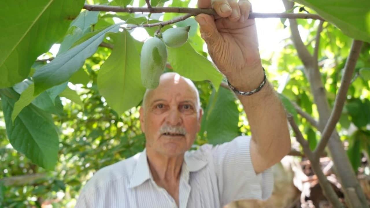 Foto - 200 çeşit sebze meyve yetiştirdi Üç kıtadan 50 ülkeden dünya bahçesi