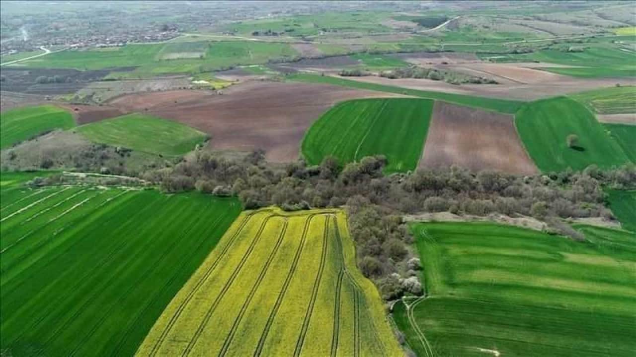 Foto - 2/B ve hazine tarım arazileriyle ilgili flaş karar! Türkiye'ye resmen duyuruldu
