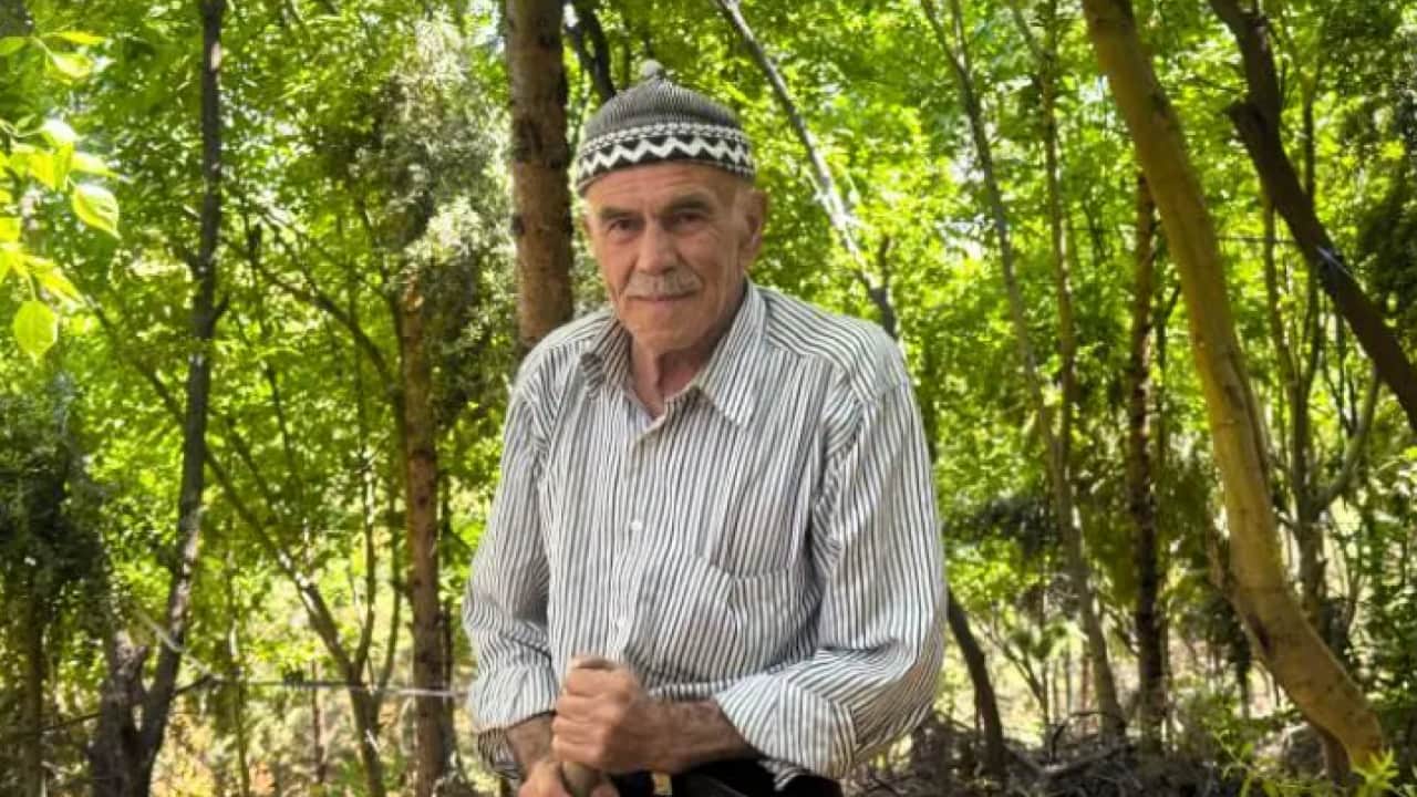 Kurak araziyi cennete çevirdi: 31 yılda 25 bin ağaç dikti!