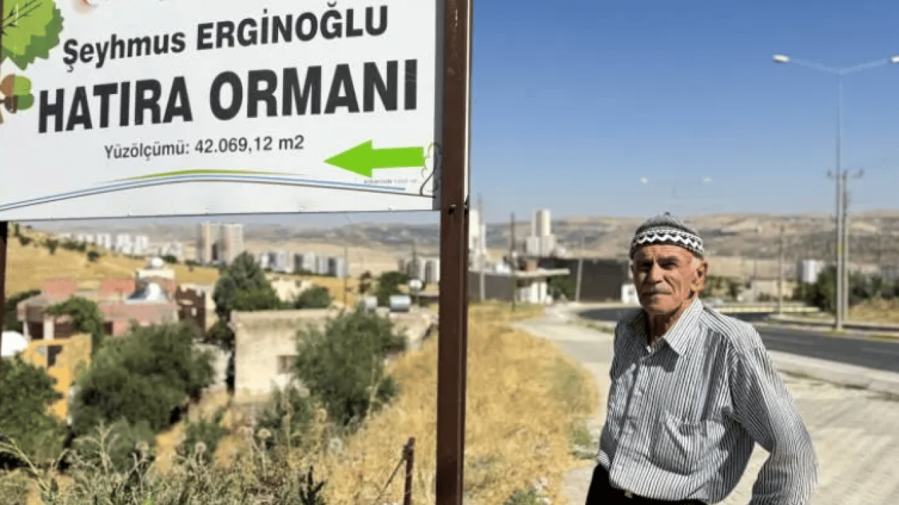 Foto - Kurak araziyi cennete çevirdi: 31 yılda 25 bin ağaç dikti!