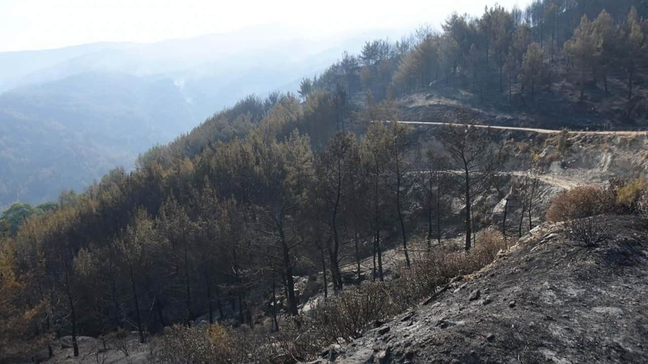 Foto - 4 gündür mücadele sürüyor! Aydın'daki yangın için seferber oldular