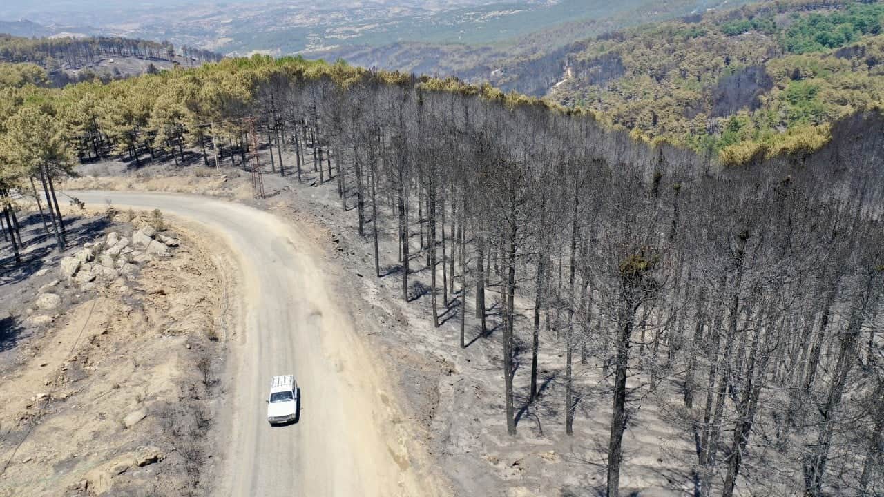 Foto - 4 gündür mücadele sürüyor! Aydın'daki yangın için seferber oldular