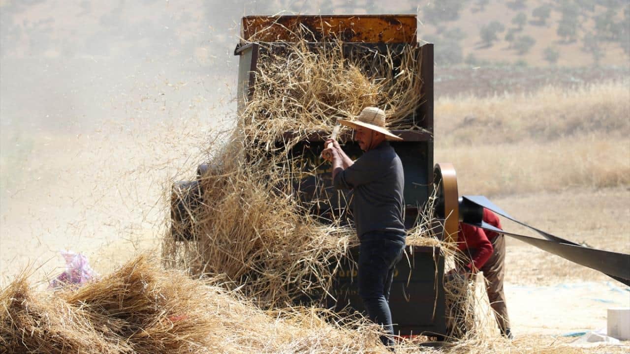 40 dereceyi aşan kavurucu sıcakta zorlu patoz mesaisi