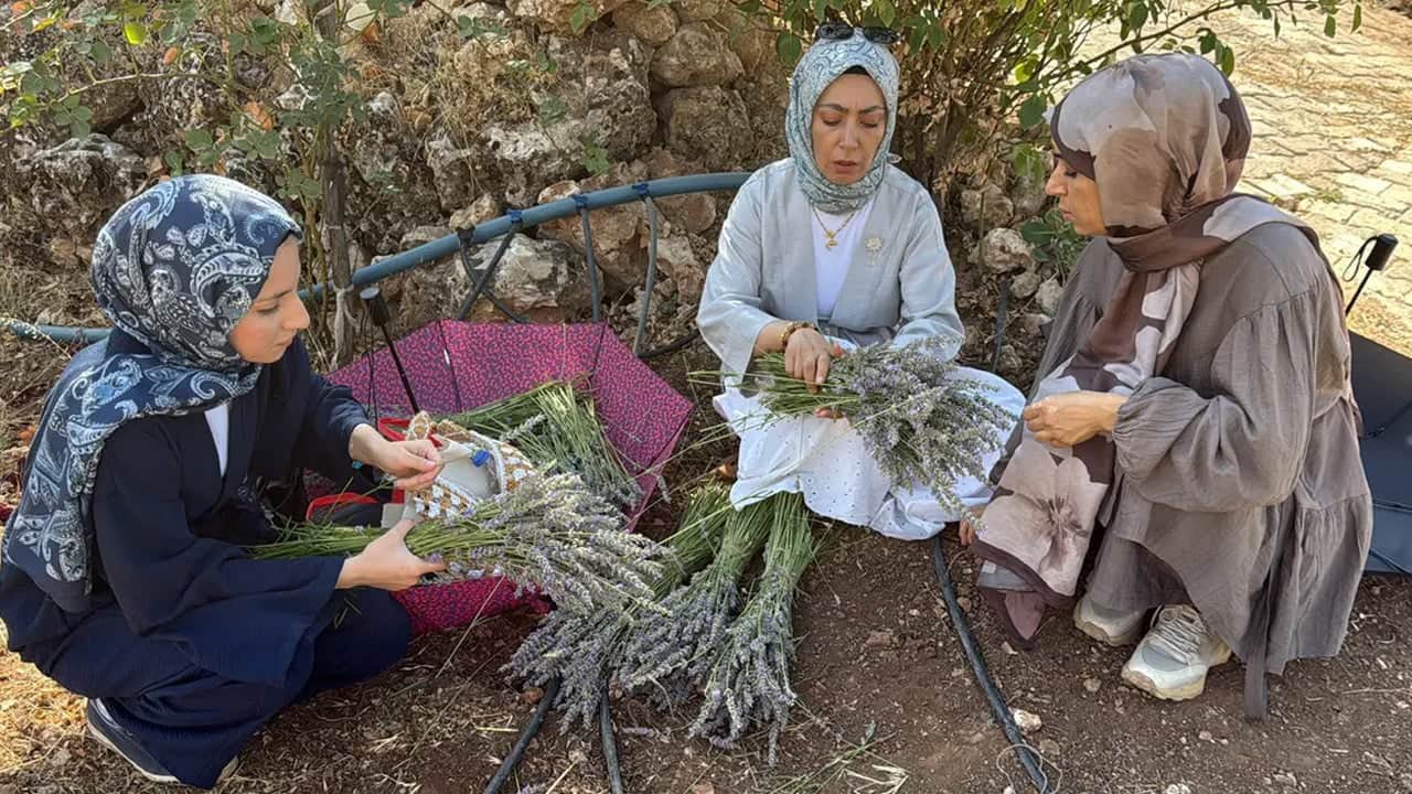 Foto - 40 yıldır boştu kadınlar o araziyi cennete çevirdi: Mor lavanta her yeri süs gibi sardı, mis gibi koku yayıldı 