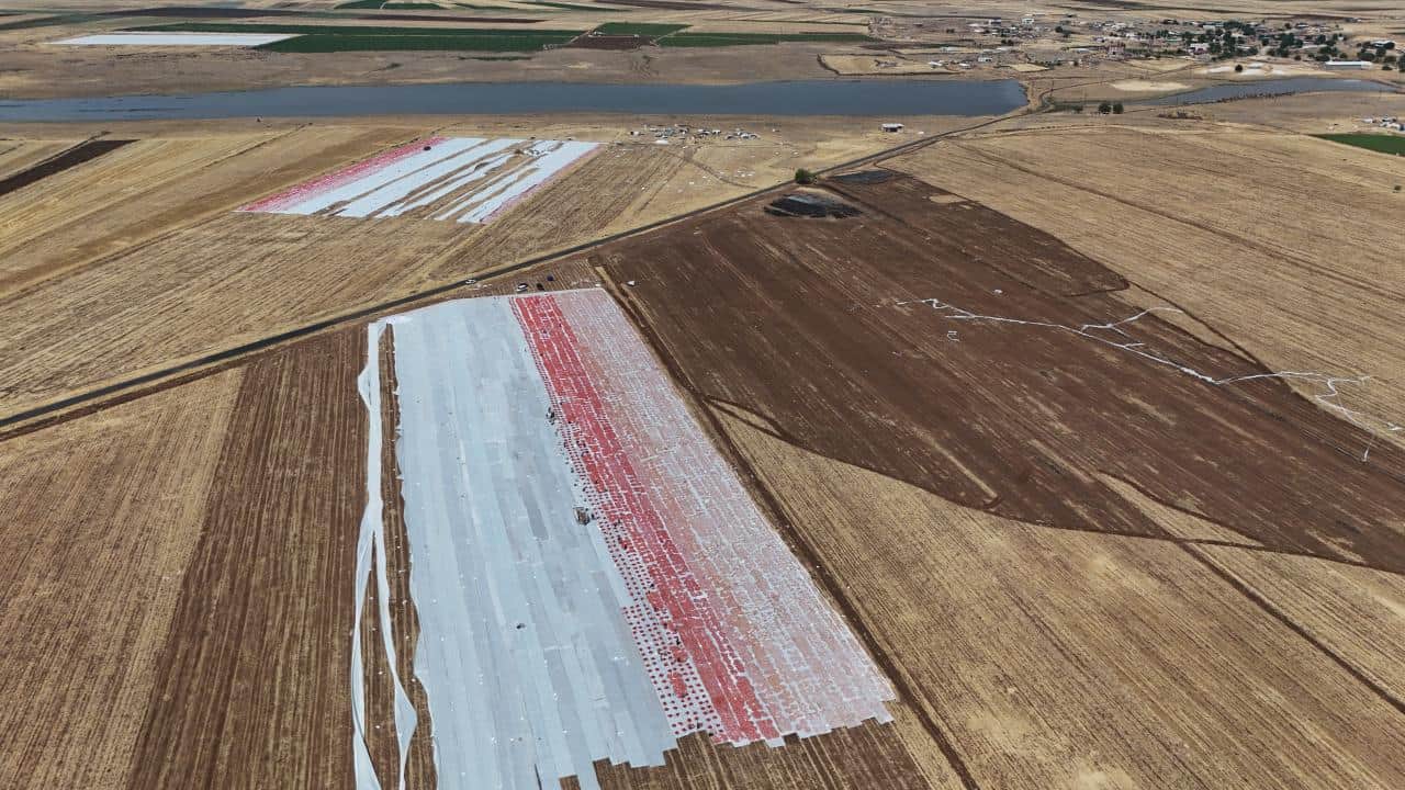 Foto - 48 derece sıcakta zorlu mesai! Karacadağ'ın domatesi dünyaya ihraç ediliyor