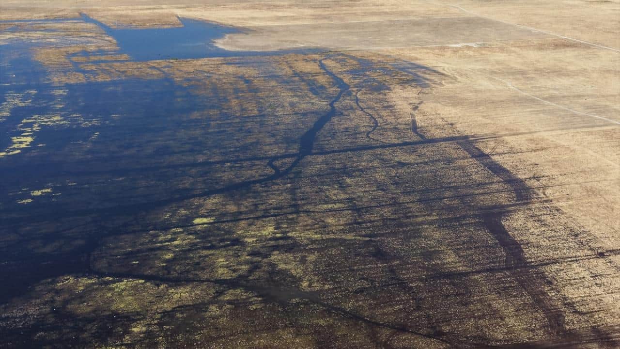 Foto - 5 yıl sonra yeniden su tutmaya başlamıştı! Marmara Gölü'nde yaban hayatı denetimi