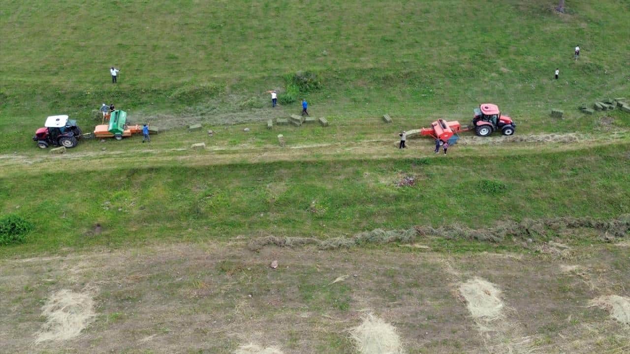 Foto - 6 ay kar altında kalıyorlar! Hayvan yemi için ot biçme mesaisi başladı